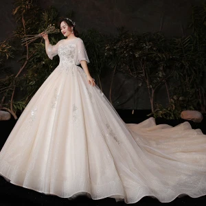 Style Victorien Champagne Grande Taille Robe De Mariée 2020 Robe Boule Transparentes Encolure Dégagée Gonflée 1 2 Manches Dos Nu Appliques En Dentelle Perlage Glitter Tulle Cathedral Train Volants