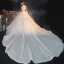Luxe Champagne Transparentes La Mariée Robe De Mariée 2020 Princesse Encolure Dégagée Manches Courtes Dos Nu Perlage Paillettes Glitter Tulle Cathedral Train Volants