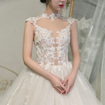 Illusion Champagne See Through Bridal Wedding Dresses 2020 Ball Gown High Neck Sleeveless Appliques Lace Beading Cathedral Train