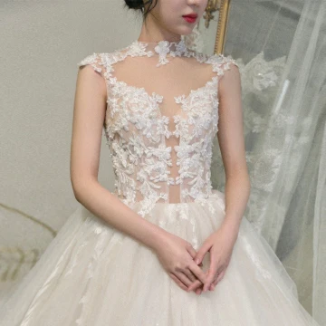Illusion Champagne Transparentes La Mariée Robe De Mariée 2020 Robe Boule Col Haut Sans Manches Appliques En Dentelle Perlage Cathedral Train