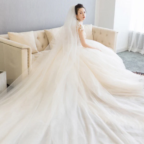 Illusion Champagne See-through Bridal Wedding Dresses 2020 Ball Gown High Neck Sleeveless Appliques Lace Beading Cathedral Train