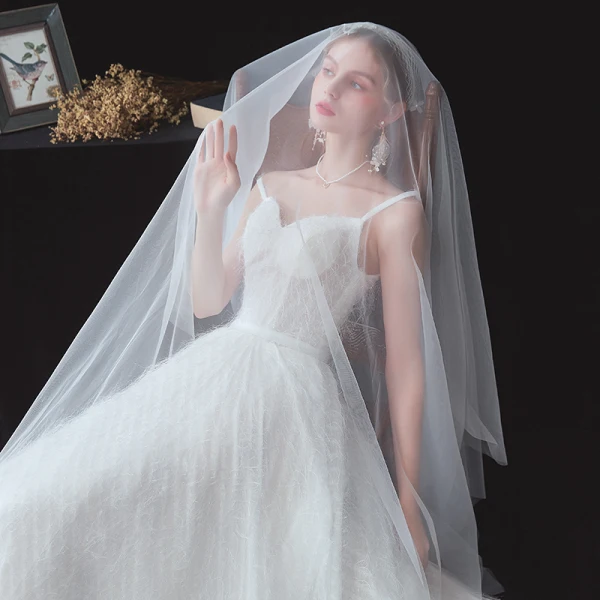 Erschwinglich Garten / Im Freien Weiß Brautkleider / Hochzeitskleider 2020 A Linie Spaghettiträger Ärmellos Rückenfreies Feder Glanz Polyester Stoffgürtel Hof-Schleppe