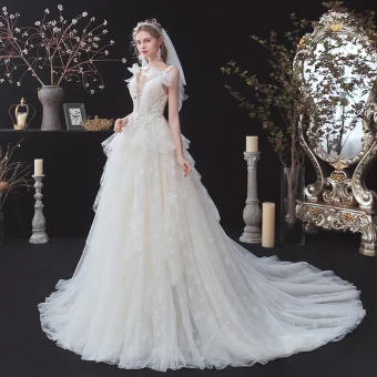 Chic Belle Champagne La Mariée Robe De Mariée 2020 Princesse Transparentes Col V Profond Sans Manches Dos Nu Noeud Appliques En Dentelle Perlage Tribunal Train