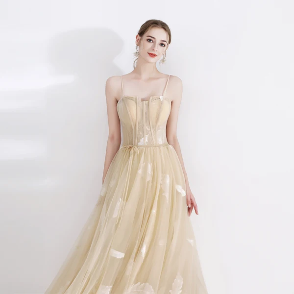 Elegant Champagne Evening Dresses 2020 A-Line / Princess Spaghetti Straps Sleeveless Feather Appliques Lace Sash Floor-Length / Long Ruffle Backless Formal Dresses