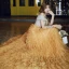 Chic / Beautiful Gold Evening Dresses  2020 A-Line / Princess Off-The-Shoulder Short Sleeve Glitter Tulle Floor-Length / Long Cascading Ruffles Backless Formal Dresses