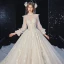 Style Victorien Champagne La Mariée Robe De Mariée 2020 Robe Boule Transparentes Col Haut Gonflée Manches Longues Dos Nu Appliques Fleur Paillettes Perlage Glitter Tulle Cathedral Train Volants