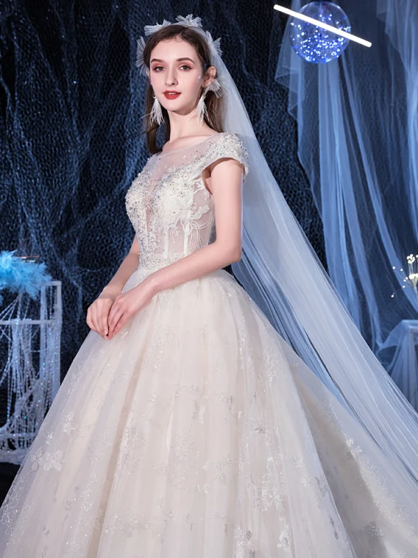 Illusion Ivory See-through Bridal Wedding Dresses 2020 Ball Gown Scoop Neck Short Sleeve Backless Appliques Flower Beading Cathedral Train