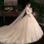 Style Victorien Champagne La Mariée Robe De Mariée 2020 Robe Boule De l'épaule Gonflée 3/4 Manches Dos Nu Appliques En Dentelle Fleur Perlage Glitter Tulle Cathedral Train Volants