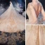 Style Victorien Champagne Transparentes La Mariée Robe De Mariée 2020 Robe Boule Col Haut Gonflée Manches Longues Dos Nu Appliques En Dentelle Perlage Glitter Tulle Cathedral Train