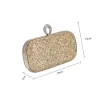 Lovely Glitter Square Clutch Bags 2020
