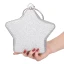 Unique Glitter Étoile Pochette 2020