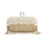 Mode Cuir Verni Carrés Pochette 2020 Métal Faux Diamant Gland Perle