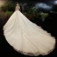 Illusion Champagne See-through Bridal Wedding Dresses 2020 Ball Gown High Neck Short Sleeve Backless Beading Glitter Tulle Cathedral Train
