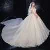 Best Champagne Bridal Wedding Dresses 2020 Ball Gown Off-The-Shoulder Short Sleeve Backless Appliques Lace Beading Glitter Tulle Royal Train