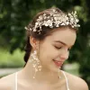 Elegant Gold Bridal Jewelry 2020 Alloy Rhinestone Flower Headpieces Earrings Bridal Hair Accessories