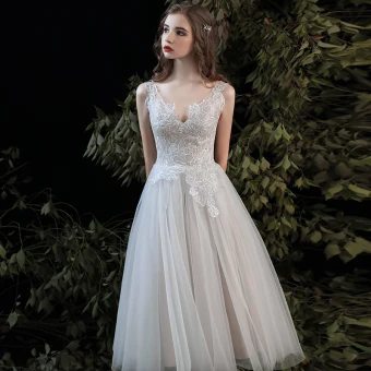 Elegant Champagne Beach Wedding Dresses 2020 A Line Princess V Neck Sleeveless Backless Appliques Lace Tea Length