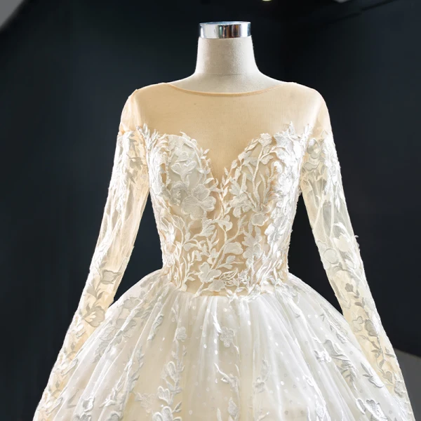 Best Ivory Outdoor / Garden Wedding Dresses 2020 Ball Gown See-through Scoop Neck Long Sleeve Backless Appliques Lace Floor-Length / Long Ruffle