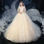 Vintage / Originale Champagne La Mariée Robe De Mariée 2020 Robe Boule Transparentes Col Haut Manches Courtes Dos Nu Appliques En Dentelle Perlage Gland Cathedral Train