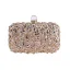 Sparkly Champagne Beading Sequins Square Clutch Bags 2020