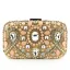 Chic / Belle Champagne Faux Diamant Zircon Carrés Pochette 2020