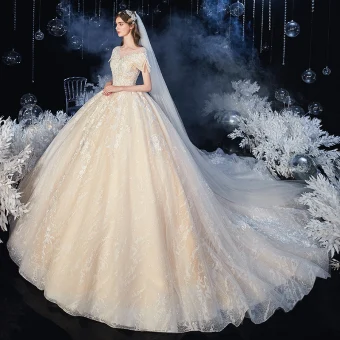 Chic Belle Champagne La Mariée Robe De Mariée 2020 Robe Boule Transparentes Encolure Dégagée Manches Courtes Dos Nu Appliques En Dentelle Perlage Glitter Tulle Cathedral Train Volants