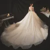 Elegant Champagne Bridal Wedding Dresses 2020 Ball Gown Scoop Neck Sleeveless Backless Glitter Tulle Beading Sequins Cathedral Train Ruffle