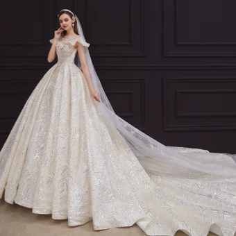 Vintage Champagne Bruids Trouwjurken 2020 Baljurk Doorzichtige Vierkante Halslijn Korte Mouwen Ruglooze Kralen Appliques Kant Pailletten Glans Tule Cathedral Train Ruche