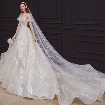 Style Victorien Champagne La Mariée Robe De Mariée 2020 Robe Boule Transparentes Encolure Dégagée Gonflée Manches Courtes Dos Nu Perlage Appliques En Dentelle Paillettes Cathedral Train Volants