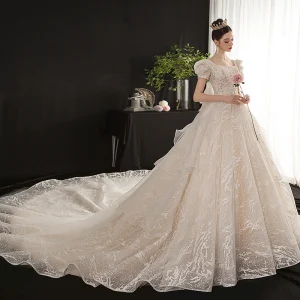 Vintage Victoriaanse Stijl Champagne Bruids Trouwjurken 2020 Baljurk Vierkante Halslijn Gezwollen Korte Mouwen Ruglooze Appliques Pailletten Glans Tule Cathedral Train