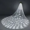 Elegant White 2017 Wedding Tulle Appliques Embroidered Wedding Veils