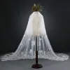 Elegant White 2017 Wedding Tulle Appliques Embroidered Wedding Veils