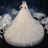 Vintage / Retro Champagne Bridal Wedding Dresses 2020 Ball Gown See-through High Neck Sleeveless Backless Appliques Lace Chapel Train Ruffle