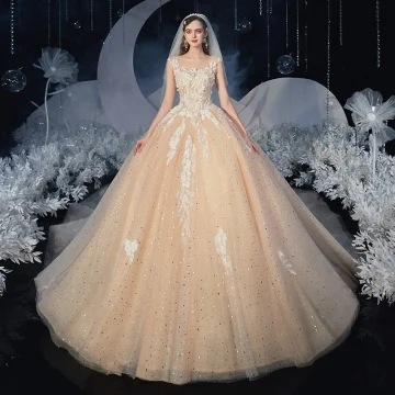 Romantisk Champagne Brud Bröllopsklänningar 2020 Balklänning Genomskinliga Fyrkantig Ringning Ärmlös Halterneck Appliqués Spets Paljetter Glittriga Glitter Tyll Cathedral Train