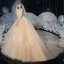 Romantisch Champagner Hochzeits Brautkleider / Hochzeitskleider 2020 Ballkleid Durchsichtige Eckiger Ausschnitt Ärmellos Rückenfreies Applikationen Spitze Pailletten Glanz Tülle Kathedrale Schleppe