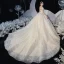 Chinese style Champagne Bridal Wedding Dresses 2020 Ball Gown See-through High Neck Sleeveless Backless Appliques Lace Glitter Tulle Chapel Train Ruffle