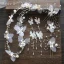 Flower Fairy Ivory Silk Flower Bridal Jewelry 2020 Butterfly Beading Earrings Headbands Bridal Hair Accessories
