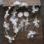 Flower Fairy Ivory Silk Flower Bridal Jewelry 2020 Butterfly Beading Earrings Headbands Bridal Hair Accessories