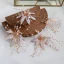 Snygga / Fina Guld Brudsmycken 2020 Legering Beading Rhinestone Blad Hårsmycken Örhängen Bröllop Tillbehör