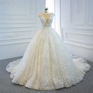 Luxury Gorgeous Ivory Bridal Wedding Dresses 2020 Ball Gown See Through Deep V Neck Sleeveless Backless Appliques Lace Beading Pearl Bow Sash