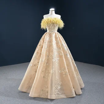 High End Champagne Evening Dresses 2020 A Line Princess Strapless Sleeveless Feather Appliques Lace Sequins Floor Length Long Backless Formal Dresses