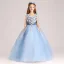 Chic / Beautiful Pool Blue Flower Girl Dresses 2020 Ball Gown V-Neck Sleeveless Appliques Lace Flower Beading Pearl Floor-Length / Long Ruffle