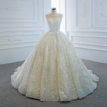 Luxe Champagne La Mariée Robe De Mariée 2020 Robe Boule Transparentes Encolure Dégagée Sans Manches Dos Nu Étoile Appliques En Dentelle Perlage Perle Chapel Train