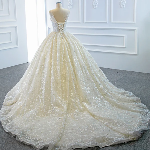 Luxury / Gorgeous Champagne Bridal Wedding Dresses 2020 Ball Gown See-through Scoop Neck Sleeveless Backless Star Appliques Lace Beading Pearl Chapel Train