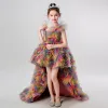 Rainbow Multi-Colors Birthday Flower Girl Dresses 2020 Ball Gown Scoop Neck Sleeveless Asymmetrical Cascading Ruffles