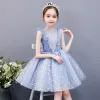 Chic / Beautiful Sky Blue Birthday Flower Girl Dresses 2020 Ball Gown Scoop Neck Sleeveless Appliques Star Short Ruffle