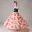 Flower Fairy Blushing Pink Birthday Flower Girl Dresses 2020 Ball Gown Scoop Neck Sleeveless Star Embroidered Appliques Flower Beading Sash Floor-Length / Long