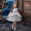 Lovely Grey Birthday Flower Girl Dresses 2020 Ball Gown Scoop Neck Sleeveless Appliques Lace Bow Sash Short Ruffle