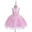 Affordable Candy Pink Birthday Flower Girl Dresses 2020 Ball Gown Scoop Neck Sleeveless Appliques Lace Flower Beading Pearl Short Ruffle