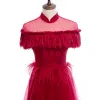 Vintage Czerwone Koronkowe Sukienki Wieczorowe 2020 Princessa Przezroczyste Wysokiej Szyi Kótkie Rękawy Pióro Długie Sukienki Wizytowe