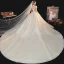 Vintage / Originale Champagne La Mariée Robe De Mariée 2020 Robe Boule Transparentes Encolure Dégagée Manches Courtes Dos Nu Fait main Perlage Paillettes Cathedral Train Volants